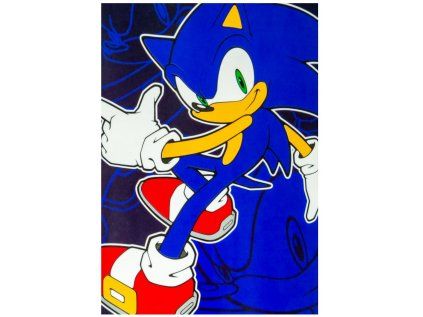 DEKA FLEECE|SONIC THE HEDGEHOG  IMAGE READY FOR ACTION|100 x 140 cm