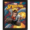 OBRÁZEK 3D|26 x 20 cm|MARVEL  SPIDERMAN|COSTUME BLAST