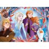 PUZZLE 4 v 1 20+60 KUSŮ|FROZEN II  CHARACTERS|27 X 19 cm