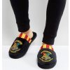 TREPKY NAZOUVACÍ|HARRY POTTER  HOGWARTS|STRIPES|EU 42-45