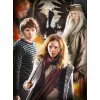 PUZZLE 1000 KUSŮ SET 3|HARRY POTTER  THE GOBLET OF FIRE|50 x 69 cm