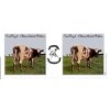 HRNEK KERAMICKÝ|PINK FLOYD  315 ml|ATOM HEART MOTHER