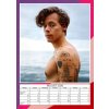 KALENDÁŘ 2026|HUDBA  HARRY STYLES|1D (29,7 x 42 cm) A3