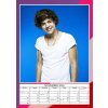 KALENDÁŘ 2026|HUDBA  HARRY STYLES|1D (29,7 x 42 cm) A3
