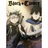 PLAKÁT 38 x 52 cm|SET 2 KUSŮ  BLACK CLOVER