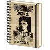 BLOK|ZÁPISNÍK A5|KROUŽKOVÁ VAZBA  WIRO|HARRY POTTER|SIRIUS & HARRY