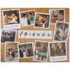 PUZZLE 1000 KUSŮ|FRIENDS  SEASON|79 x 61 cm