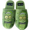 TREPKY NAZOUVACÍ UNISEX  RICK & MORTY|PICKLE RICK|EU 42-45
