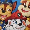 TAŠKA NA SVAČINU 3D|TERMO  PAW PATROL|TEAM PAW|23,5 x 20 x 10