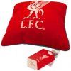 POLŠTÁŘ|LIVERPOOL FC  YOU'LL NEVER WALK ALONE|35 x 35 cm