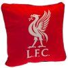 POLŠTÁŘ|LIVERPOOL FC  YOU'LL NEVER WALK ALONE|35 x 35 cm