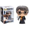 FIGURKA SBĚRATELSKÁ|POP! VINYL  HARRY POTTER|HARRY WITH HEDWIG|9 cm