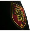 ČEPICE KŠILTOVKA|SNAPBACK  HARRY POTTER|HOUSE GRYFFINDOR