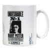 HRNEK KERAMICKÝ|HARRY POTTER  315 ml|UNDESIRABLE NO.1