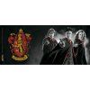 HRNEK KERAMICKÝ|HARRY POTTER  320 ml|TRIO