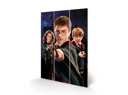 OBRAZ|MALBA NA DŘEVĚ 20 x 29,5 cm  HARRY POTTER|HARRY & RON & HERMIONE