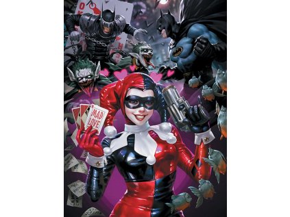 OBRAZ NA PLÁTNĚ CANVAS|60 x 80 cm  DC COMICS|HARLEY QUINN|THE ONE WHO