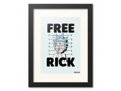 PLAKÁT V RÁMU 30 x 40 cm  RICK AND MORTY|FREE RICK