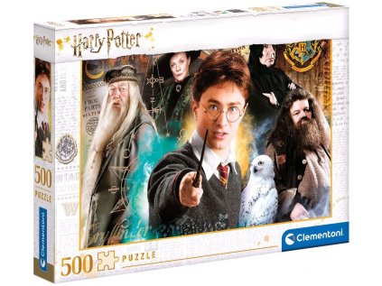 PUZZLE 500 KUSŮ|HARRY POTTER  HARRY AT HOGWARTS|49 x 36 cm