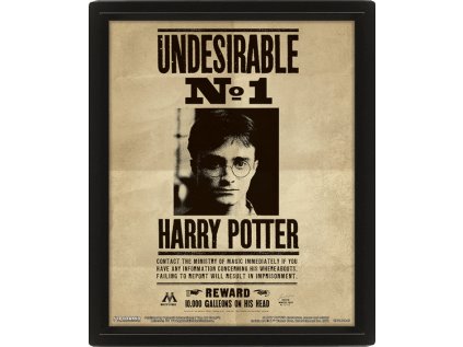 OBRÁZEK 3D|26 x 20 cm|HARRY POTTER  POTTER & SIRIUS