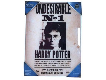 OBRAZ NA SKLE 30 x 40 cm  HARRY POTTER|UNDESIRABLE NO.1