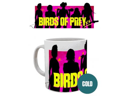 HRNEK PROMĚŇOVACÍ|DC COMICS  300 ml|BIRDS OF PREY|GROUP