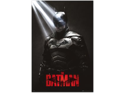 PLAKÁT 61 x 91,5 cm|DC COMICS  BATMAN|I AM THE SHADOWS