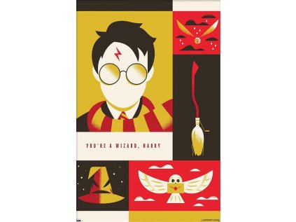 PLAKÁT 61 x 91,5 cm|HARRY POTTER  YOU'RE A WIZARD, HARRY