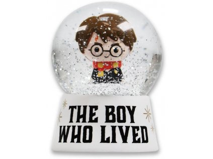 TĚŽÍTKO SNĚHOVÁ KOULE|HARRY POTTER  KAWAII HARRY