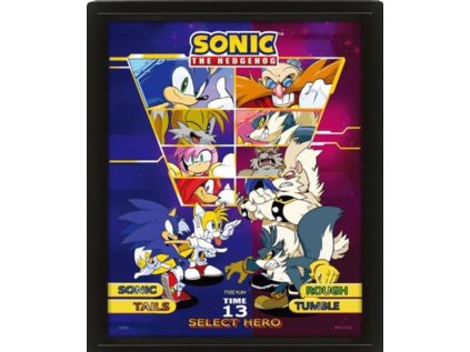 OBRÁZEK 3D|28 x 24 cm  SONIC|SELECT YOUR FIGHTER