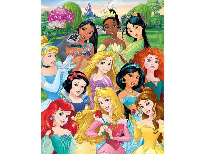 PLAKÁT 40 x 50 cm|DISNEY  PRINCESS|I AM THE PRINCESS