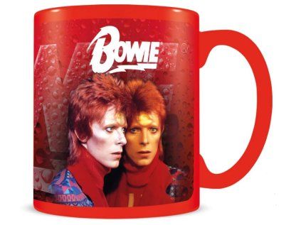 HRNEK PROMĚŇOVACÍ|DAVID BOWIE  315 ml|BOLT