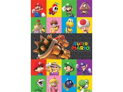 PLAKÁT 61 x 91,5 cm|NINTENDO  SUPER MARIO|CHARACTERS