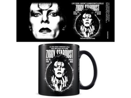 HRNEK KERAMICKÝ|DAVID BOWIE  315 ml|ZIGGY STARDUST