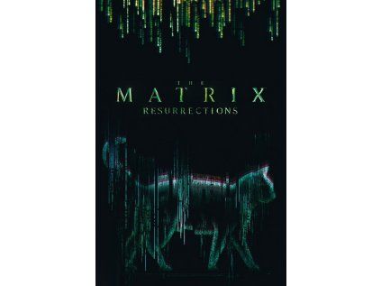 PLAKÁT 61 x 91,5 cm|THE MATRIX  CAT