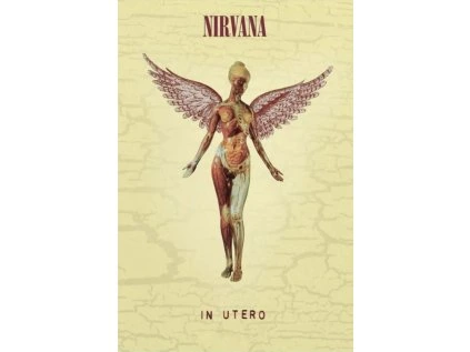 PLAKÁT 61 x 91,5 cm  NIRVANA|IN UTERO