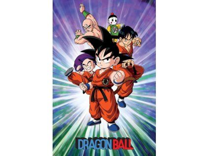 PLAKÁT 61 x 91,5 cm  DRAGON BALL Z|GROUP
