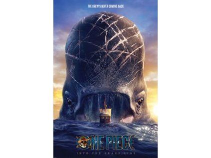 PLAKÁT 61 x 91,5 cm  ONE PIECE|LABOON