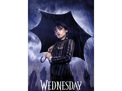 PLAKÁT 61 x 91,5 cm  WEDNESDAY|UMBRELLA