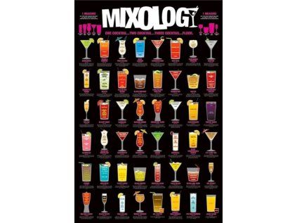 PLAKÁT 61 x 91,5 cm|MIXOLOGY  COCKTAIL