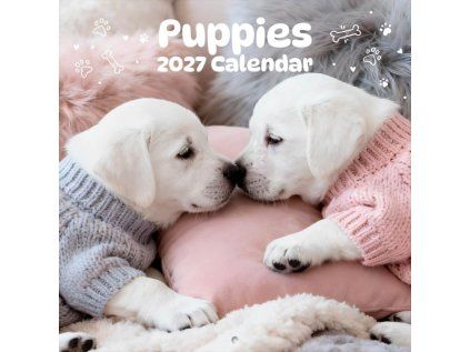KALENDÁŘ 2027|ZVÍŘATA  ŠTĚŇATA (30 x 30|60 cm) SQ 12M