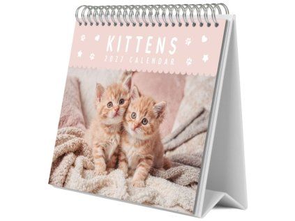 KALENDÁŘ 2027 STOLNÍ|ZVÍŘATA  KITTENS (20 x 17 cm)