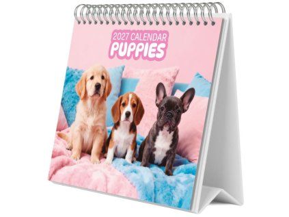 KALENDÁŘ 2027 STOLNÍ|ZVÍŘATA  PUPPIES (20 x 17 cm)