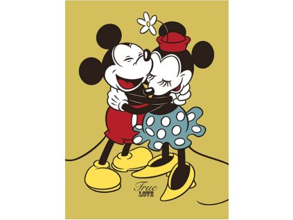 OBRAZ NA PLÁTNĚ CANVAS|30 x 40 cm  MICKEY & MINNIE MOUSE|TRUE LOVE