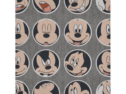 OBRAZ NA PLÁTNĚ CANVAS|40 x 40 cm  MICKEY MOUSE|CIRCLED