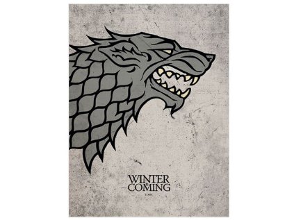 OBRAZ NA PLÁTNĚ CANVAS|30 x 40 cm  GAME OF THRONES|STARK