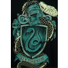 TRIČKO PÁNSKÉ/HARRY POTTER  SLYTHERIN LOGO/EASYFIT