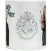 HRNEK KERAMICKÝ|HARRY POTTER  315 ml|HERMIONA GRANGER