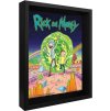OBRÁZEK 3D|26 x 20 cm  RICK AND MORTY|PORTAL
