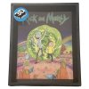 OBRÁZEK 3D|26 x 20 cm  RICK AND MORTY|PORTAL